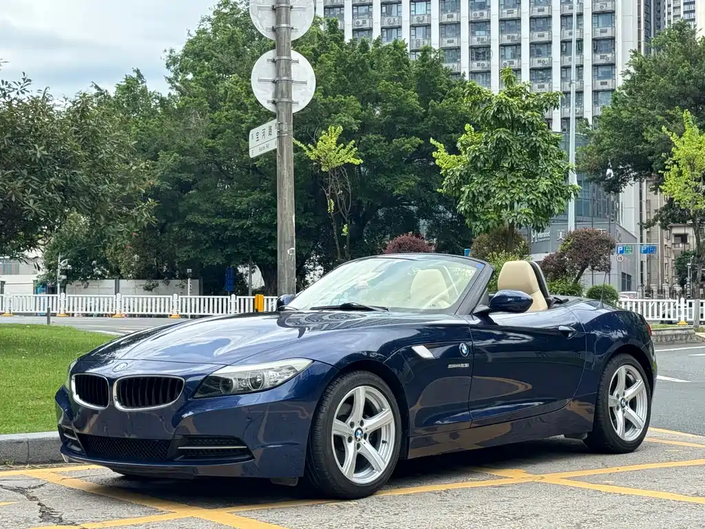BMW Z4 2010