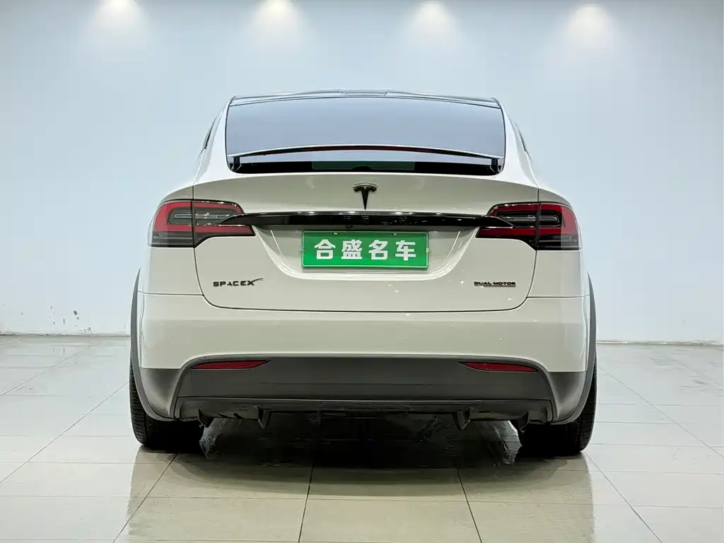 Tesla Model X 2020 — фото 21