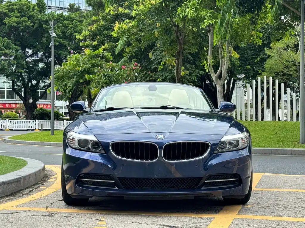 BMW Z4 2010