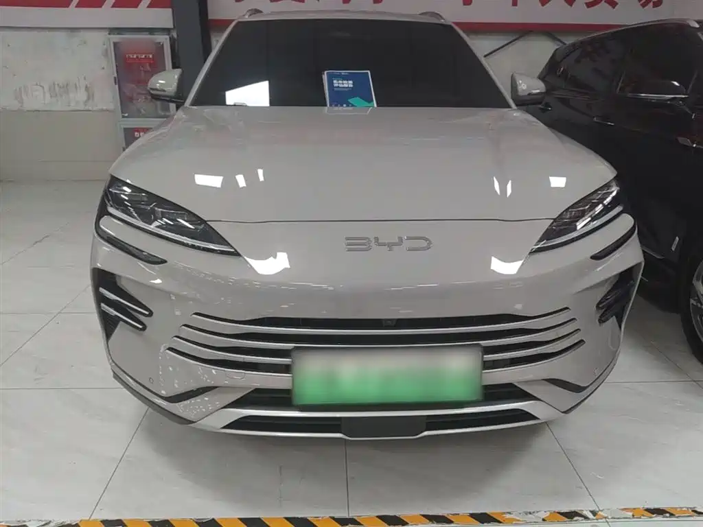 BYD PLUS New Energy 2024 — фото 3