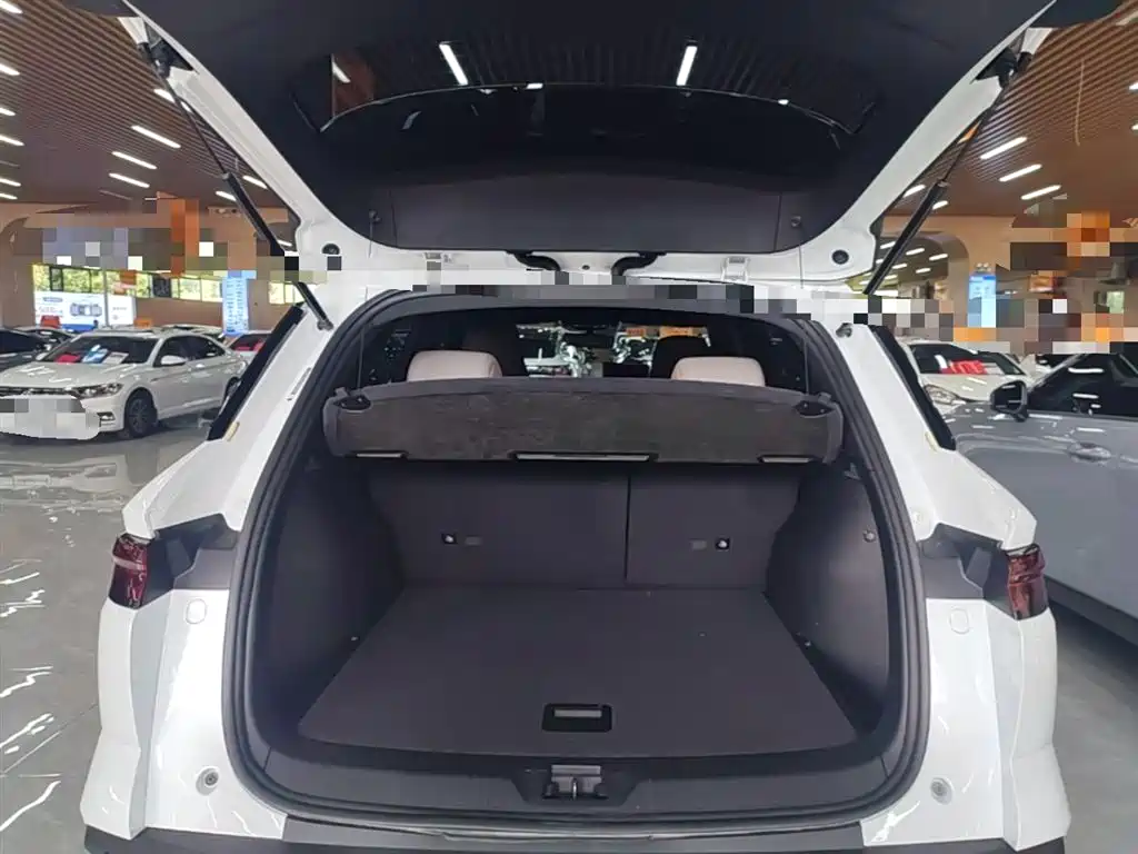 BYD Pro New Energy 2024 — фото 19