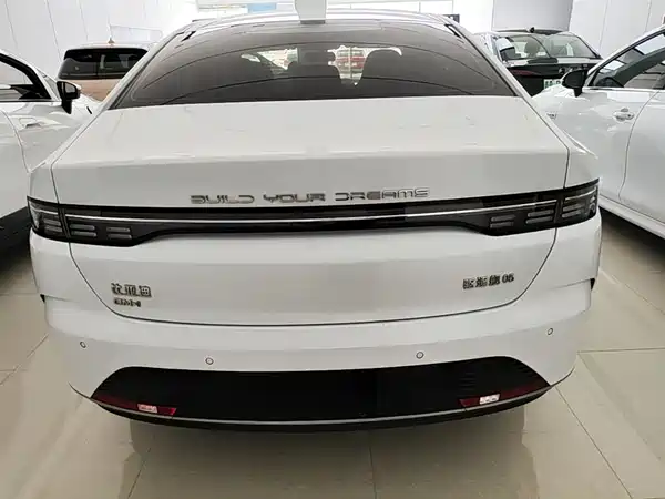 BYD Destroyer 05 2024
