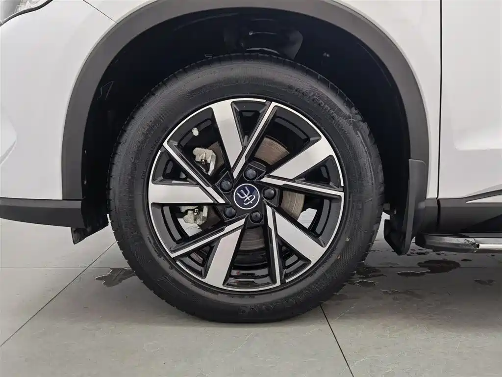 BYD Pro New Energy 2024 — фото 17