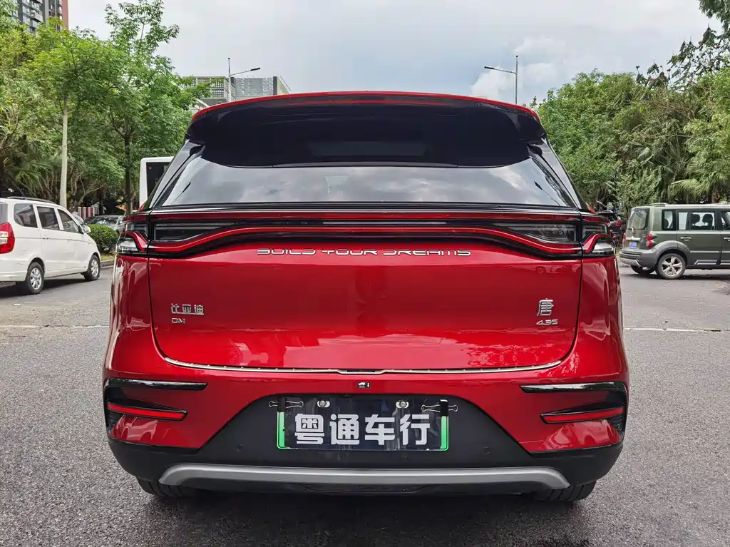BYD Tang New Energy 2021 — фото 5