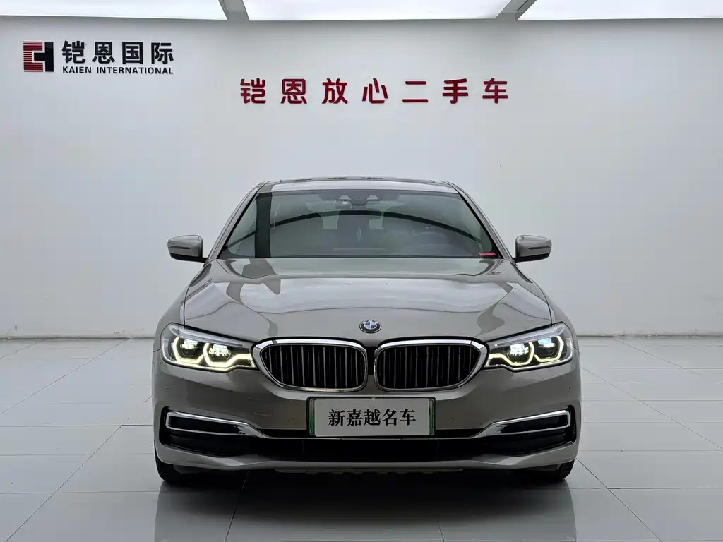 BMW 5 Series New Energy 2019
