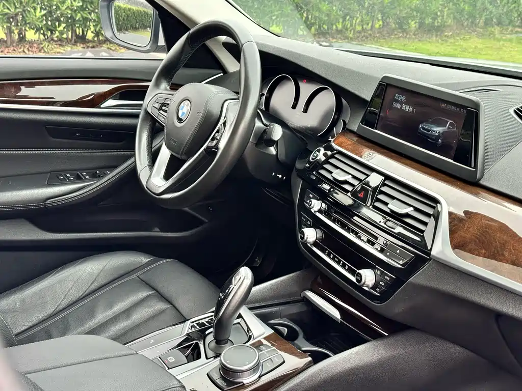 BMW 5 Series 2018 — фото 15