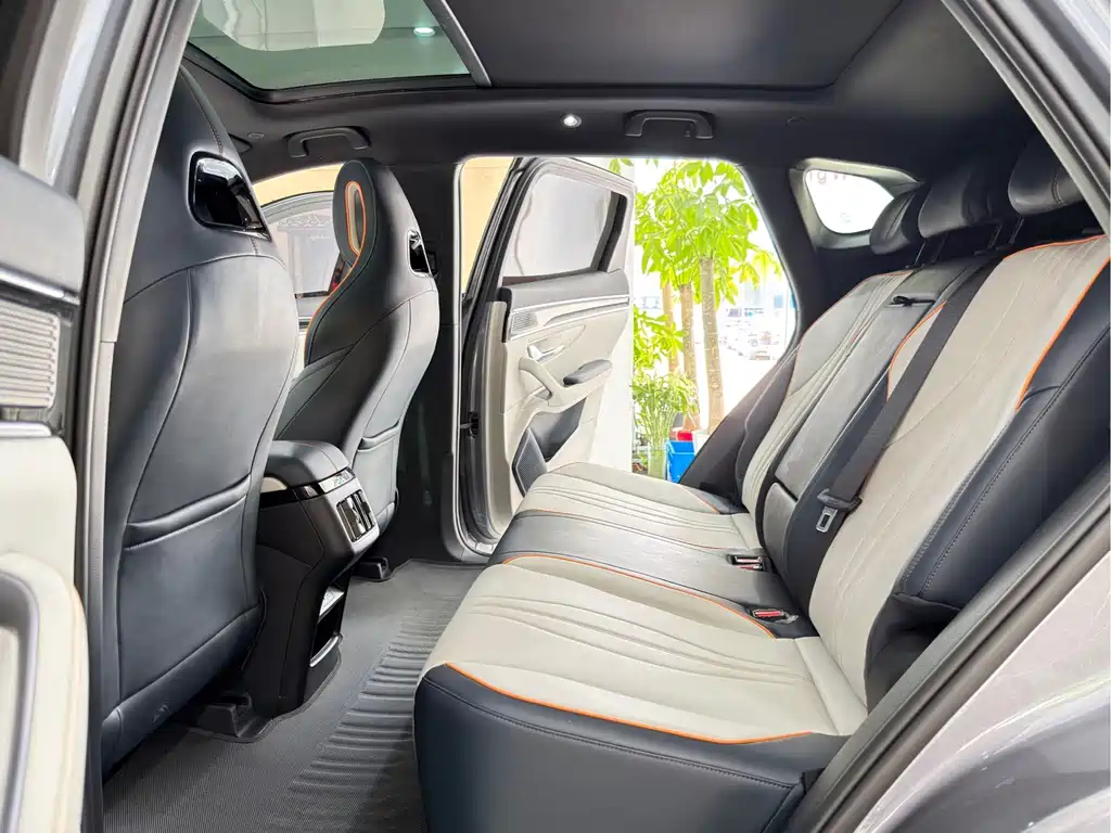 BYD Song PLUS New Energy 2024 — фото 11