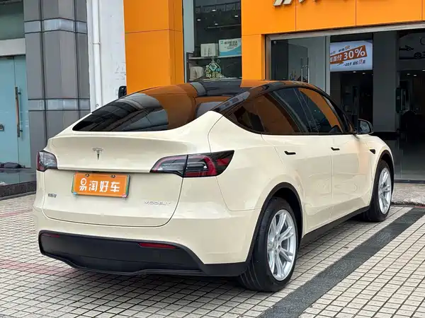 Tesla Model Y 2021