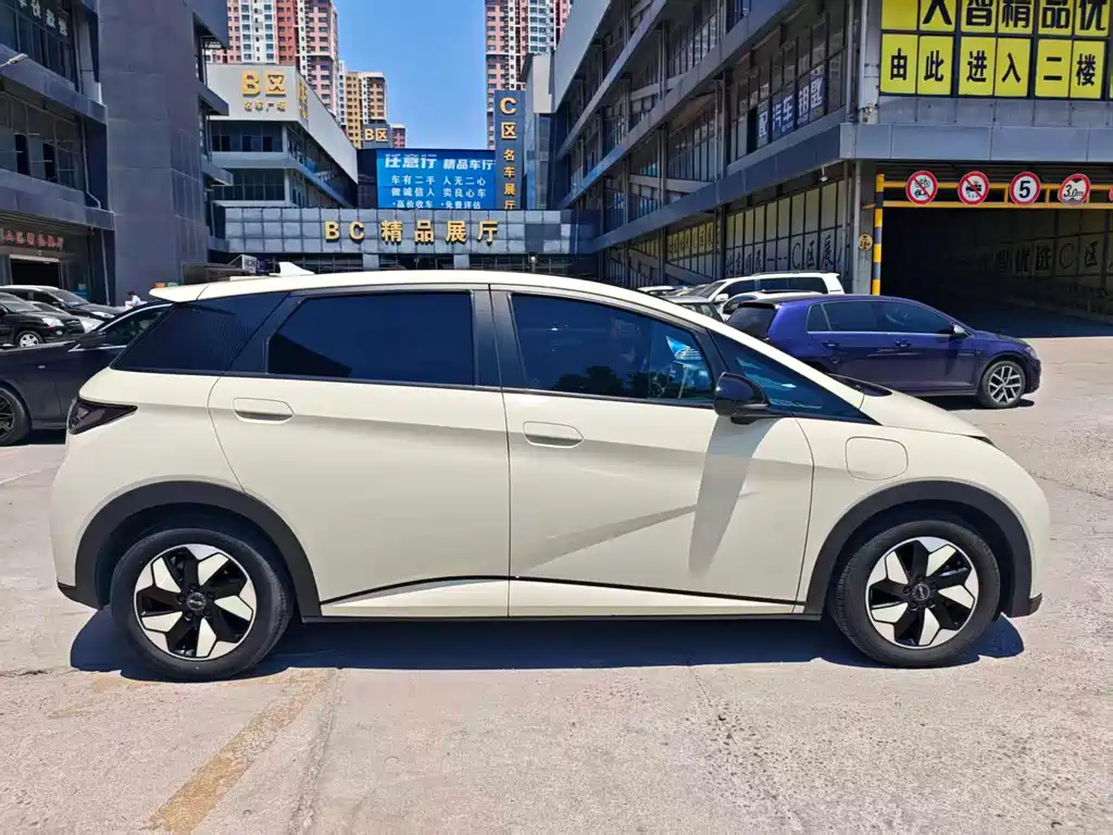 BYD Dolphin 2024
