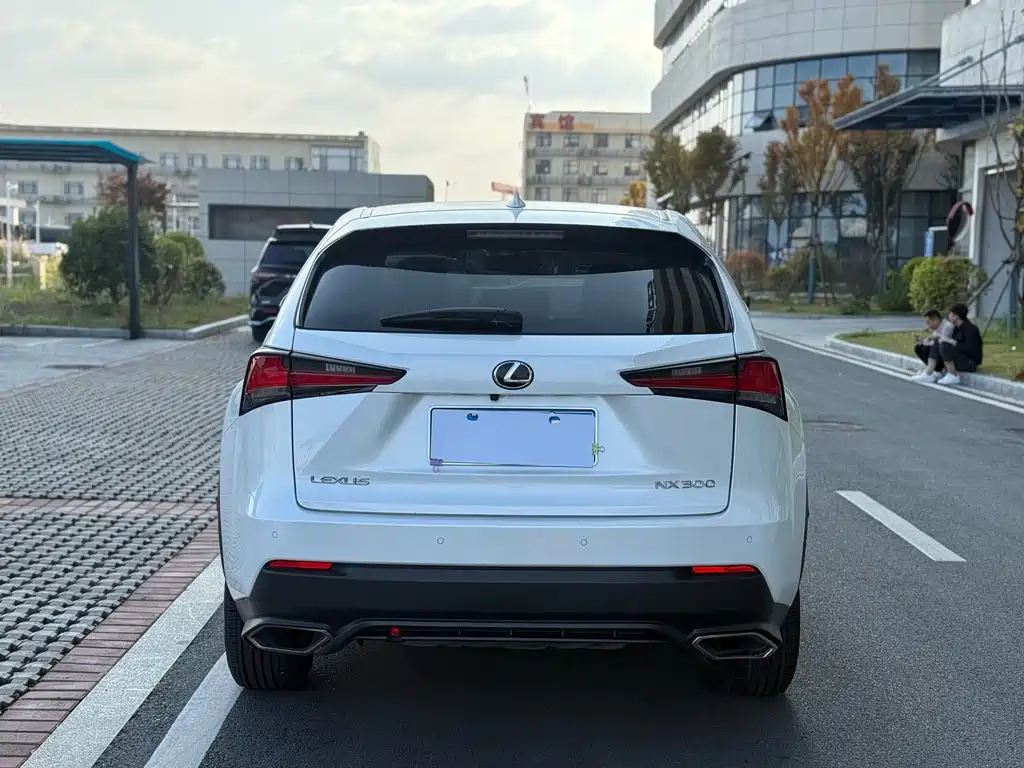 Lexus NX 2018 — фото 8