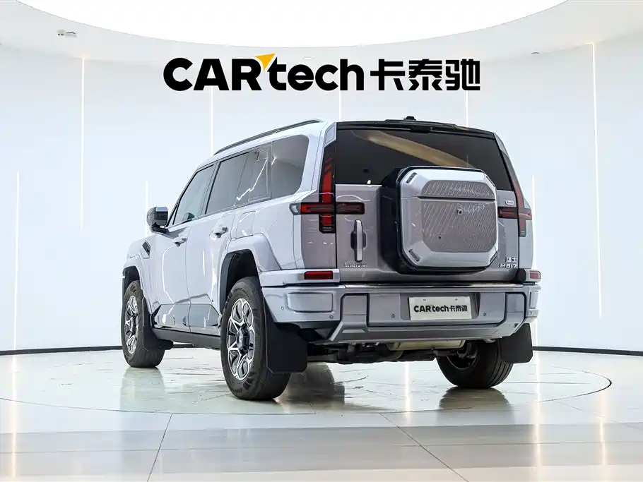 Mengshi M817 2025