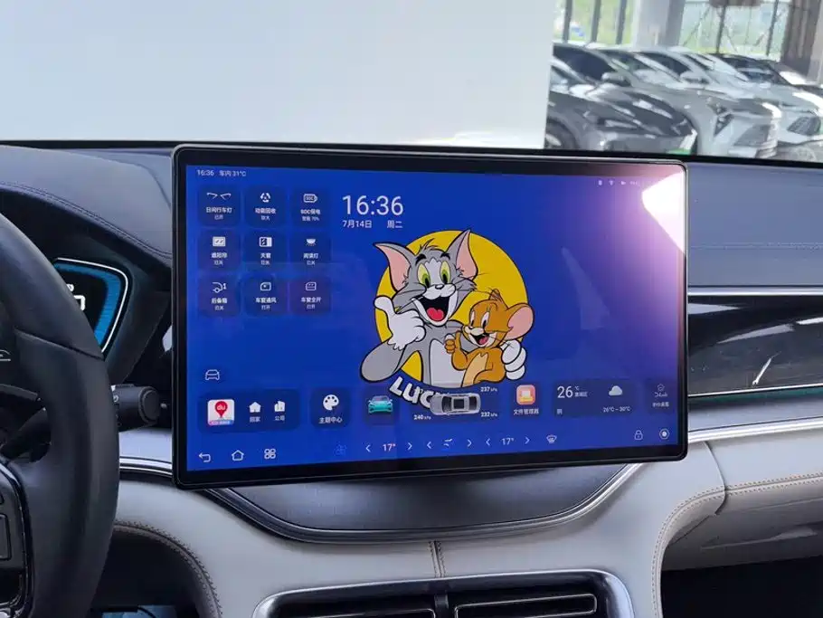 BYD Song PLUS New Energy 2023 — фото 13