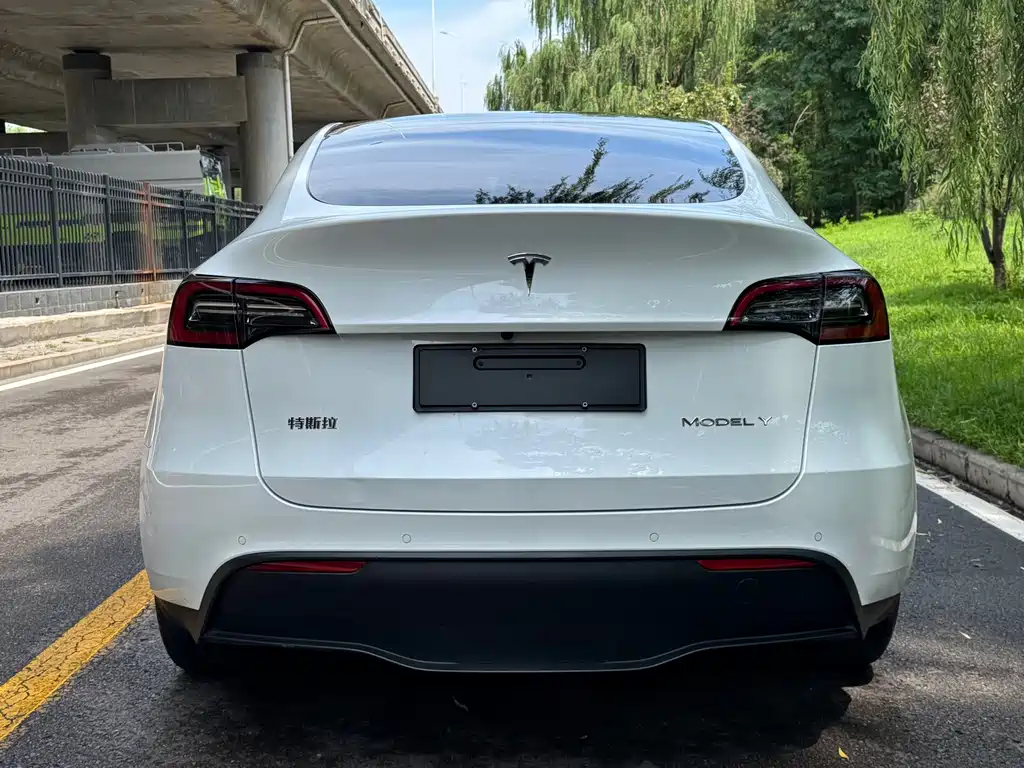 Tesla Model Y 2023 — фото 5