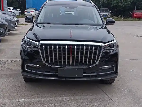 Hongqi HS7 2019