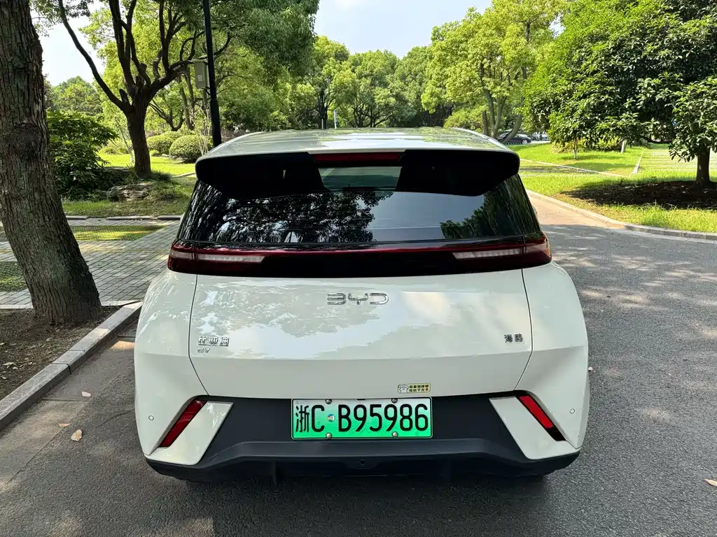 BYD Seagull 2024