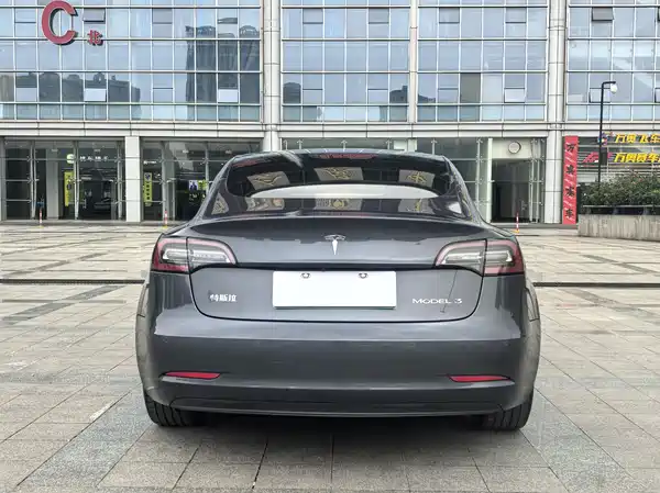 Tesla Model 3 2019