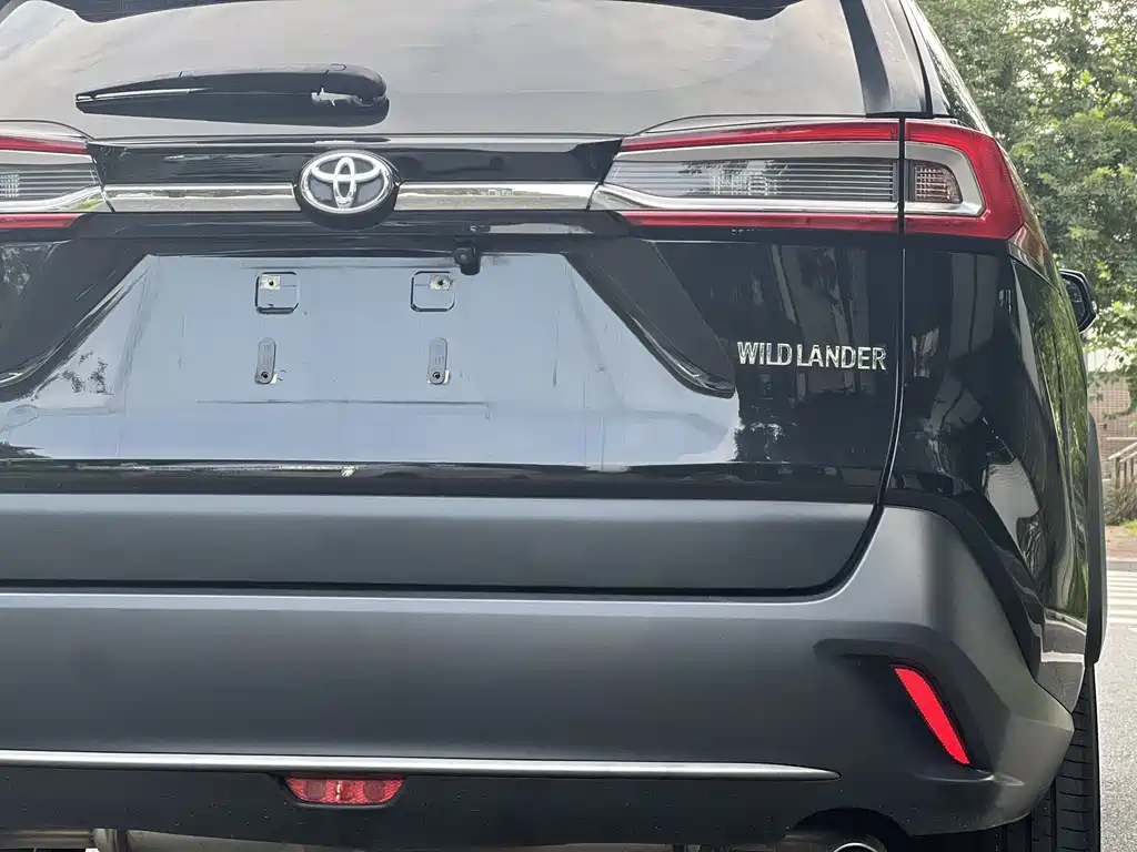 Toyota Wildlander 2024 — фото 12