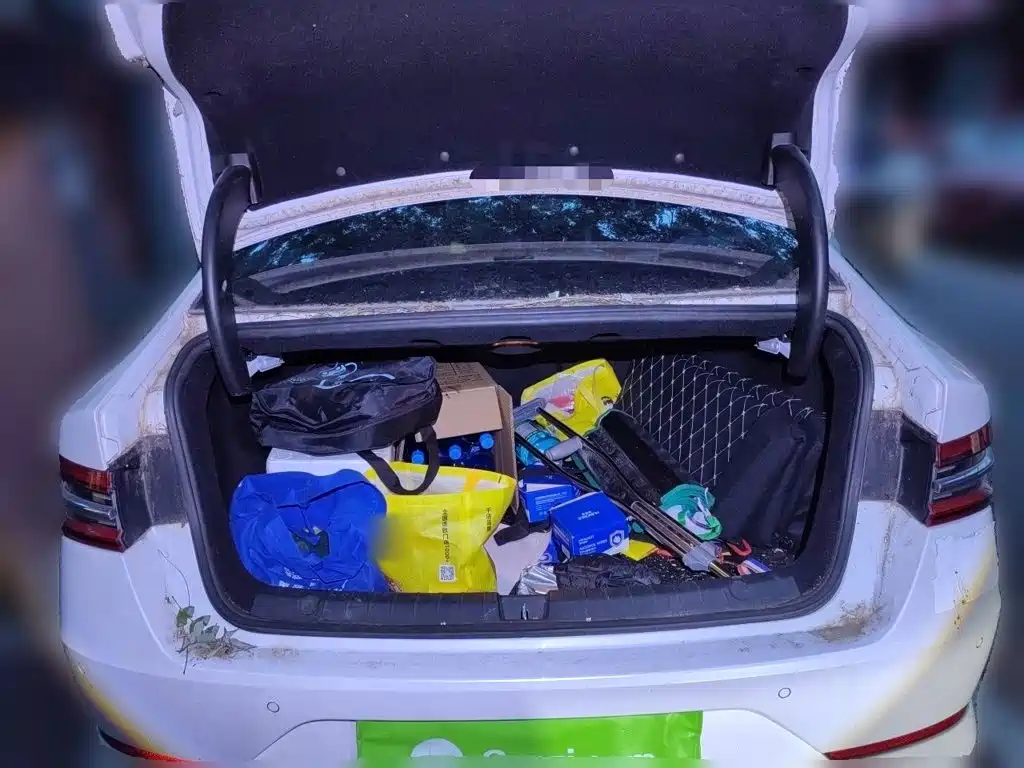 BYD Qin Pro New Energy 2019 — фото 10