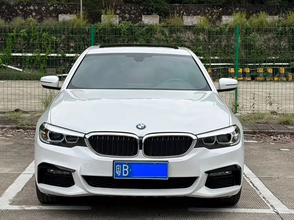 BMW 5 Series 2019 — фото 2
