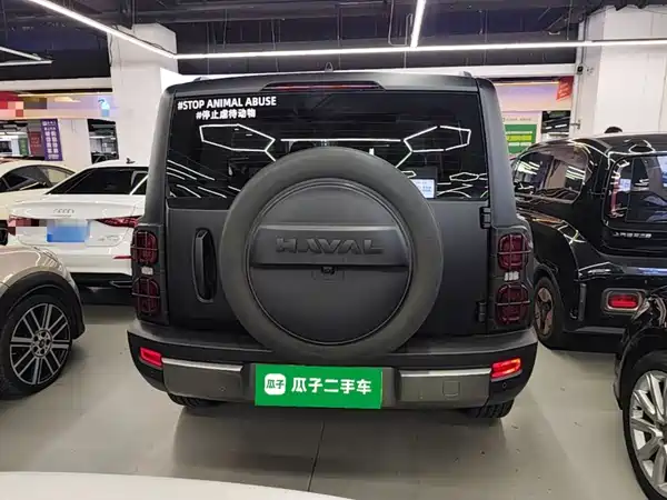 Haval Raptors New Energy 2024