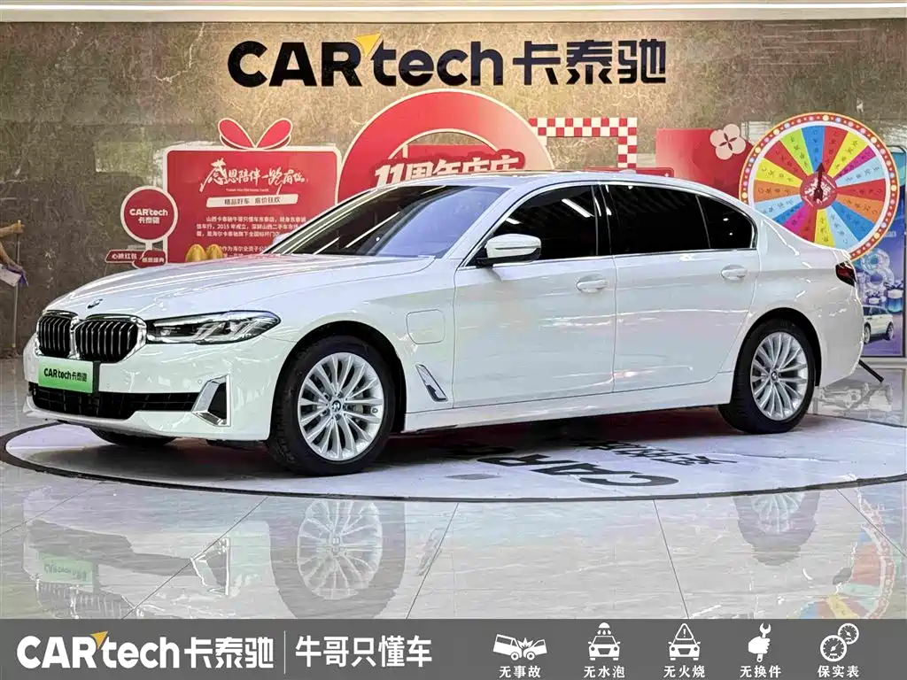 BMW 5 Series New Energy 2021