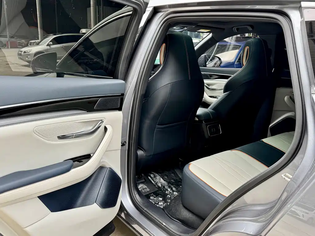BYD Song PLUS New Energy 2023 — фото 19