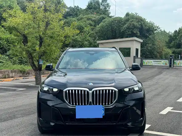 BMW X5 2024