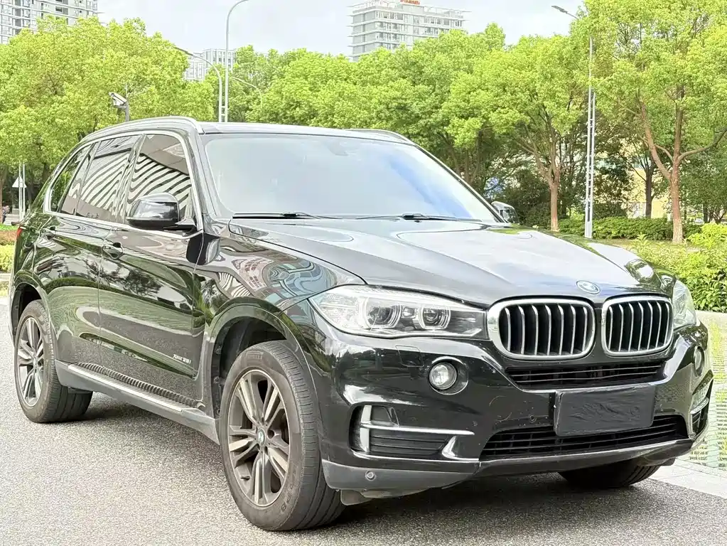 BMW X5 2017 — фото 3