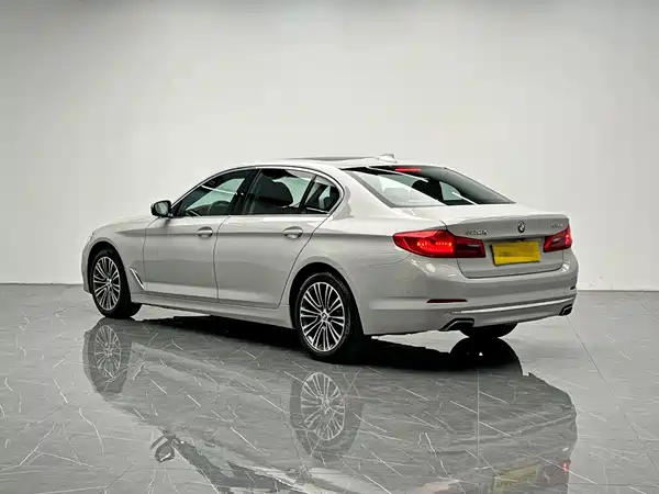 BMW 5 Series 2019