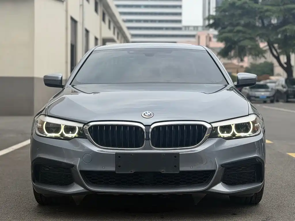 BMW 5 Series 2019 — фото 2