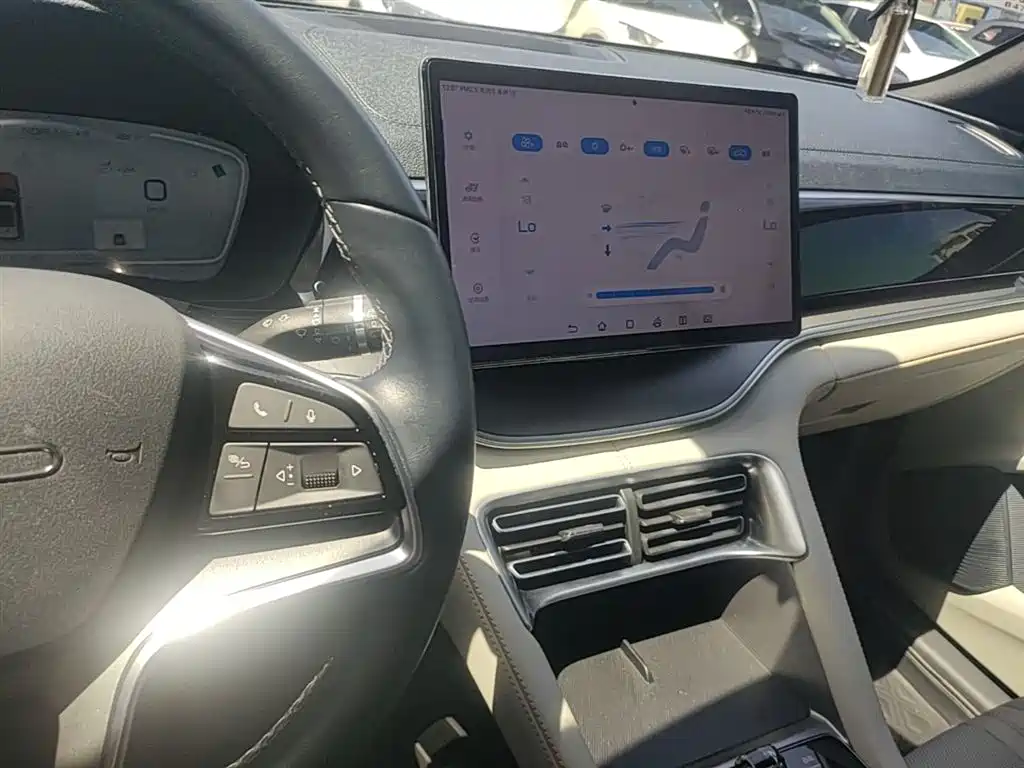 BYD PLUS New Energy 2023 — фото 10