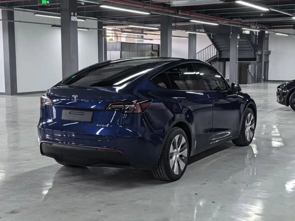 Tesla Model Y 2023 — фото 6