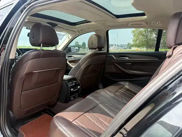 BMW 5 Series New Energy 2019