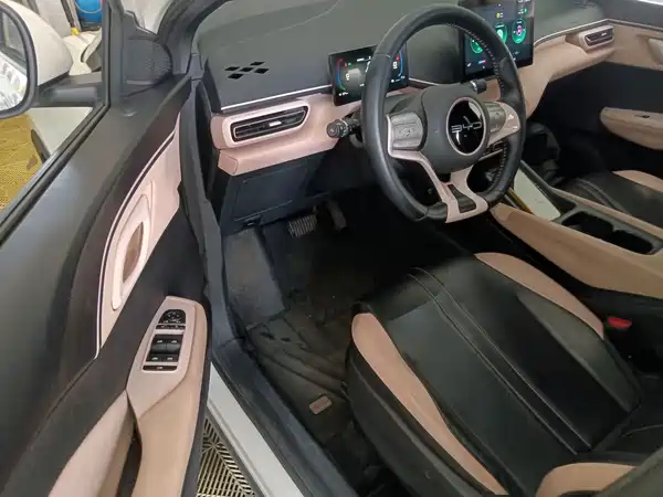 BYD Seagull 2024