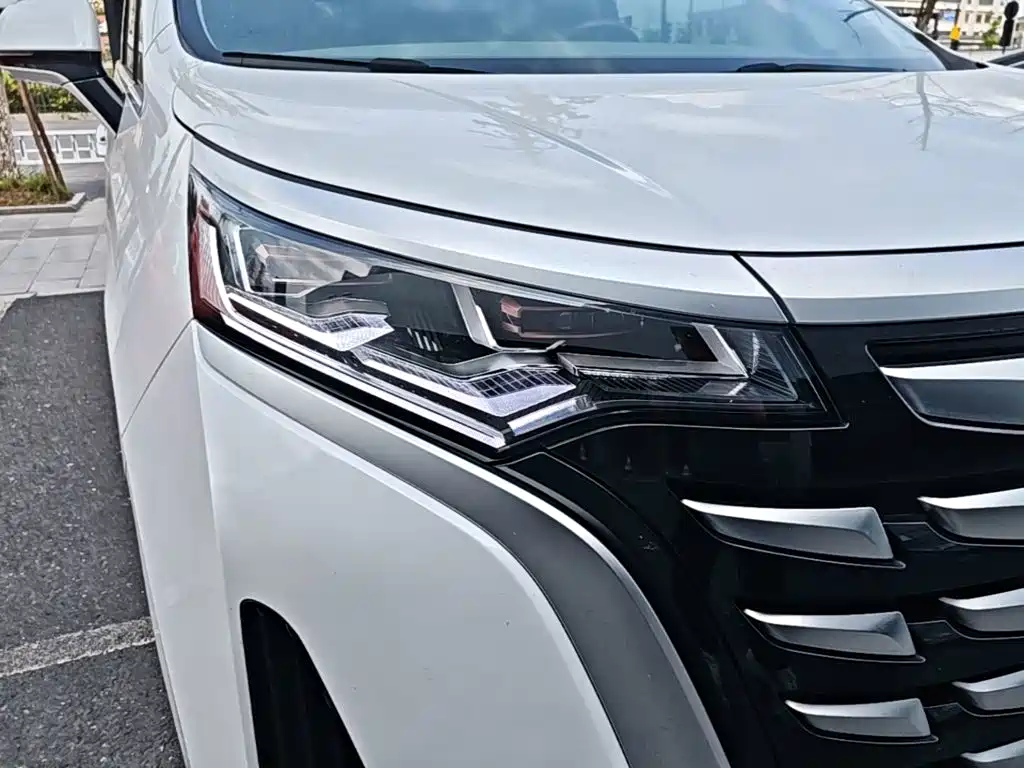 Denza D9 2023 — фото 11