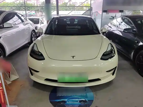 Tesla Model 3 2019