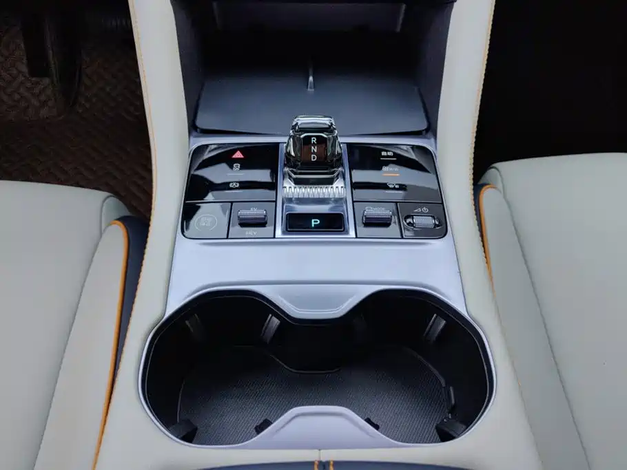 BYD Song PLUS New Energy 2024 — фото 16