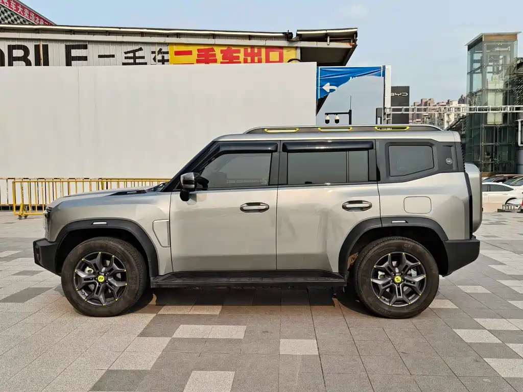 Shanhai Traveller C-DM 2025 — фото 13