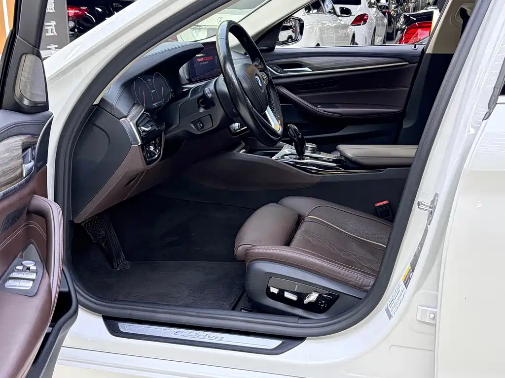 BMW 5 Series New Energy 2019