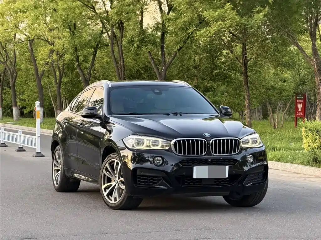 BMW X6 2017 — фото 3