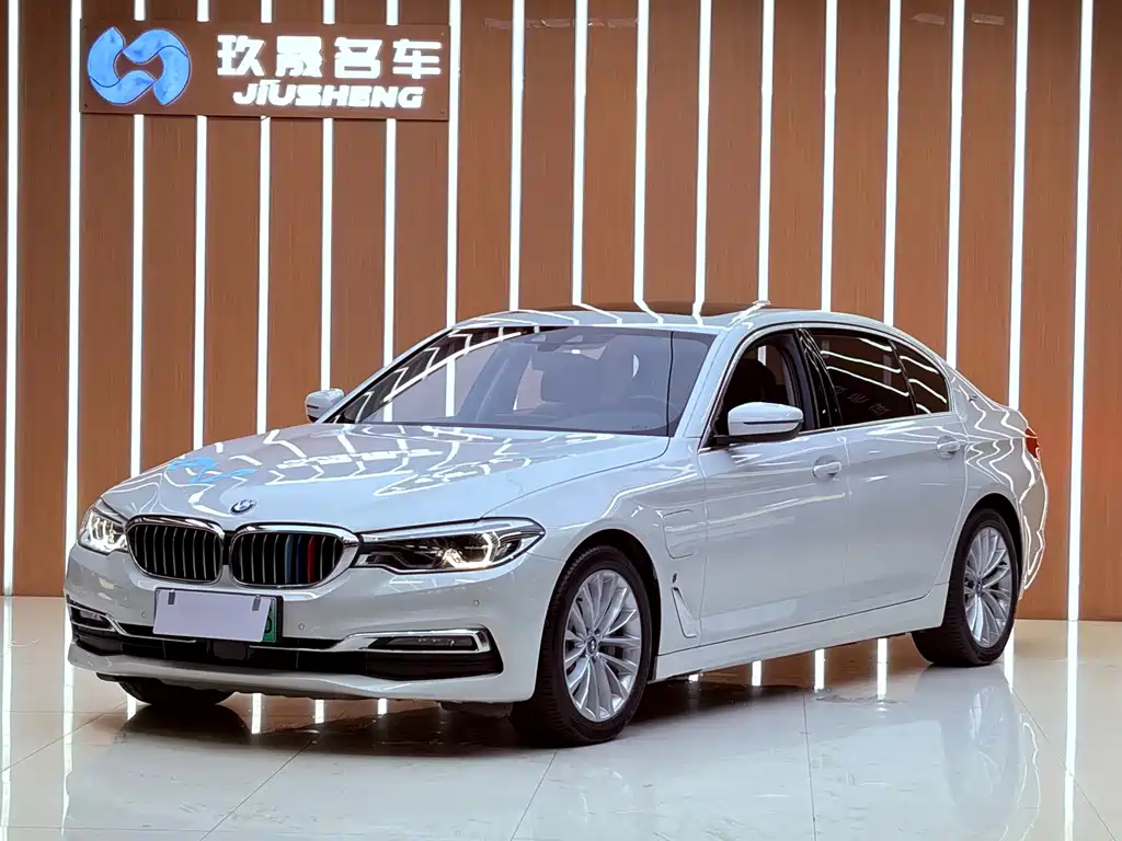 BMW 5 Series New Energy 2019