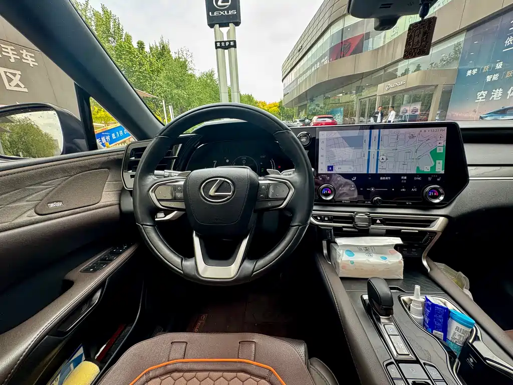 Lexus RX New Energy 2023 — фото 17