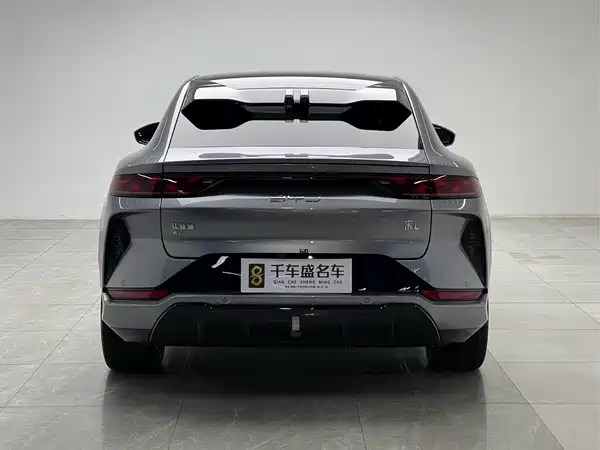 BYD Song L EV 2024