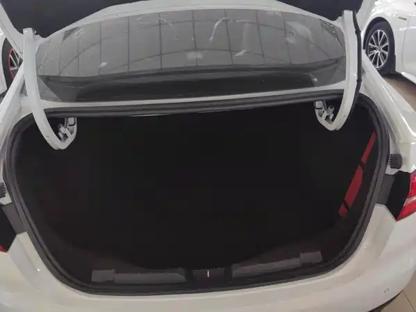 Ford Escort 2020
