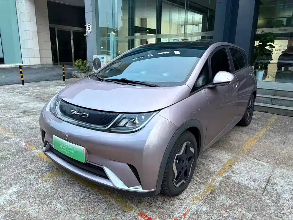 BYD Dolphin 2022