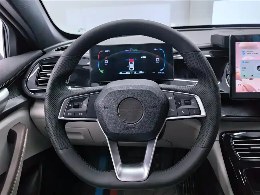 BYD Qin PLUS 2024 — фото 15