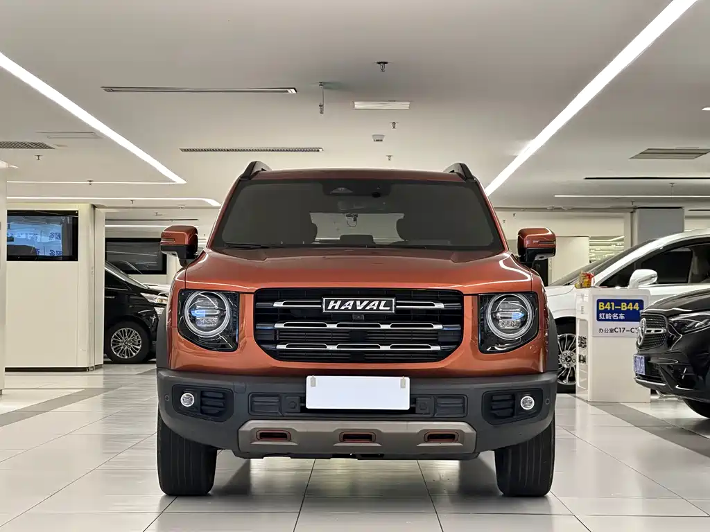 Haval Big Dog 2021 — фото 2