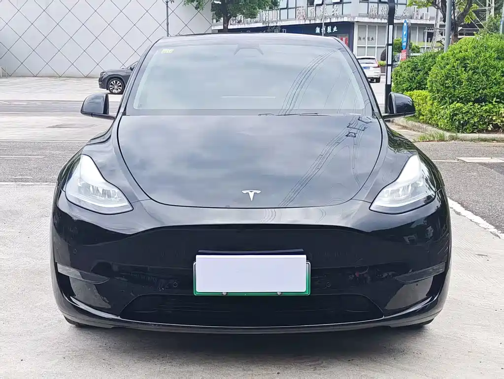 Tesla Model Y 2021 — фото 2