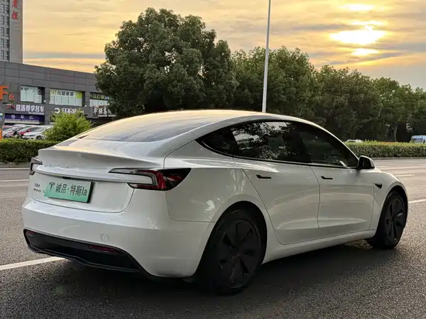 Tesla Model 3 2024