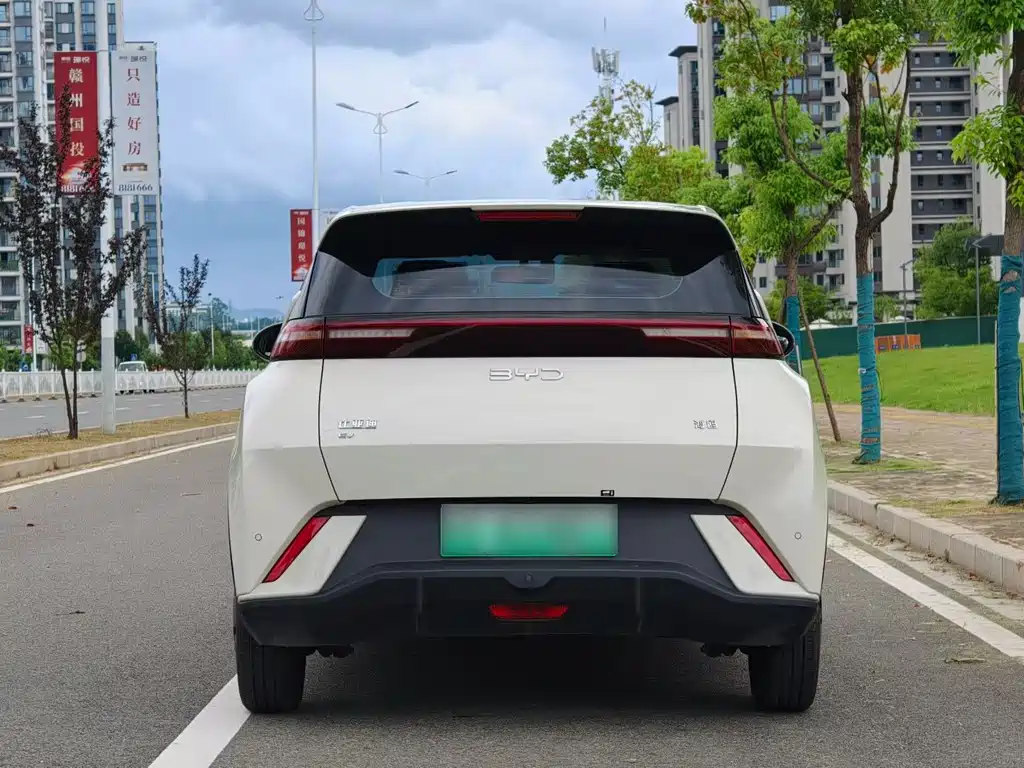BYD Seagull 2024